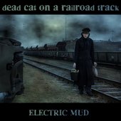 electric mud - album cocer by marcell waltzer