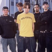 finch band