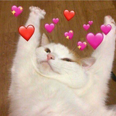 CesarUwU 的头像