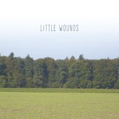 Little Wounds