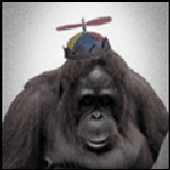 Avatar di codeape