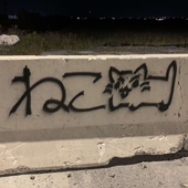 XNXTE 的头像