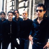 The Wallflowers in '96