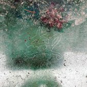 IMG_0402.jpeg