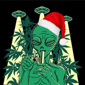 R-o-o-h 的头像