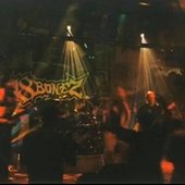 18bonez
