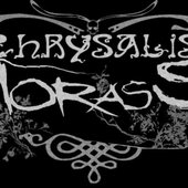 Chrysalis Morass Logo