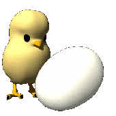 egg