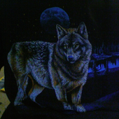 Avatar di cal_cool_us