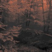 Withering leaves