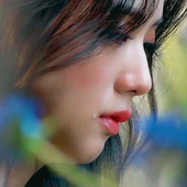 Jichuulilirose 的头像