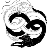 rowyag 的头像