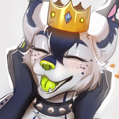 invisyarcticfox 的头像