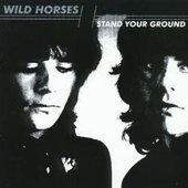 Wild Horses -  Brian & Jimmy