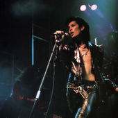 Der Zibet Discography: Vinyl, CDs, & More | Discogs