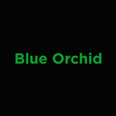 Avatar for BlueOrchid442