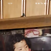 potopelado 的头像