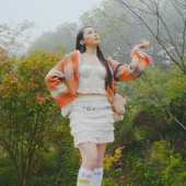 d-day mv