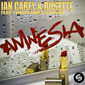 Amnesia Cover
