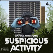 Suspicious Activity