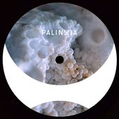 Perpetual Booty Grooves Vol.1