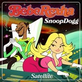 Satellite cover