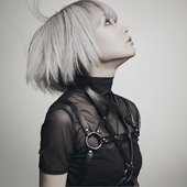 REOL3.jpg