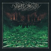 S/T
