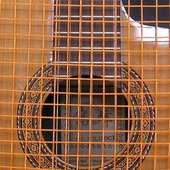 Guitar In String Jail