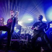 Biomorph_live.jpg
