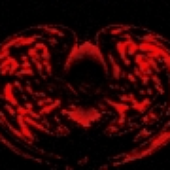 Avatar for madbringer