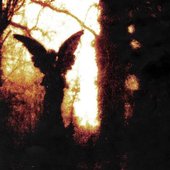 she looks like an angel - Single