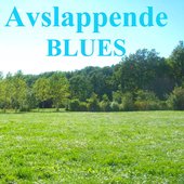 Avslappende Blues (Slidegitar)