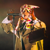 Róisín Murphy - Down the Rabbit Hole Festival (Beuningen, Netherlands, 27.06.2015)