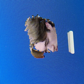 Avatar for jharker87
