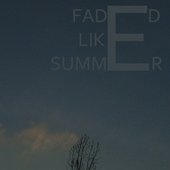 FLS - [2010]
