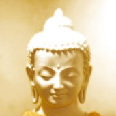 Avatar for primal_buddhist