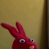 htaro 的头像