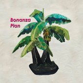 Bonanza Plan