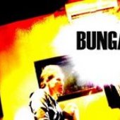 Bunga