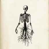 Severed Roots [Explicit]