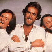 The HeeBeeGeeBees