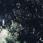 Pedro Amodio