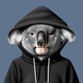 TheCodingKoala 的头像