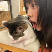 Lilyakisooba 的头像