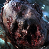 Avatar de CorruptedFlesh