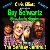 Guy Schwartz & the New Jack Hippies - Poster