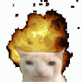 Avatar for zarathxstra
