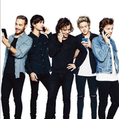 Avatar for DirectionerTV