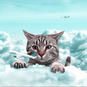 Avatar for justbatul2118